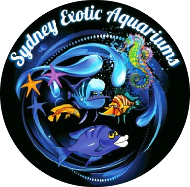 Sydney-Exotic-Aquariums-Footer-Logo1