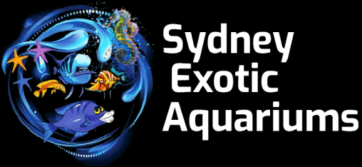 Sydney-Exotic-Aquariums-Logo-1